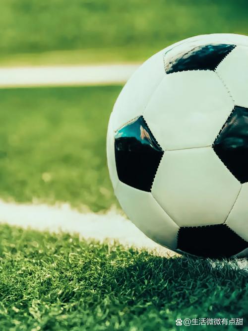 足球爱好者分析赛事